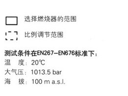 利雅路天然气燃烧机